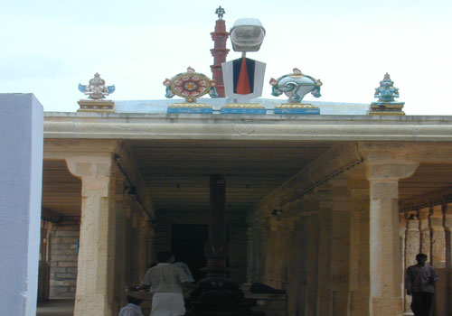 T 500 921.jpg