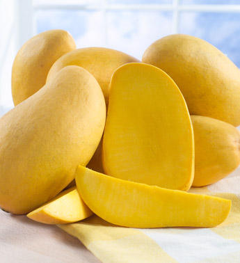 Buy-african-mango-extract1.jpg