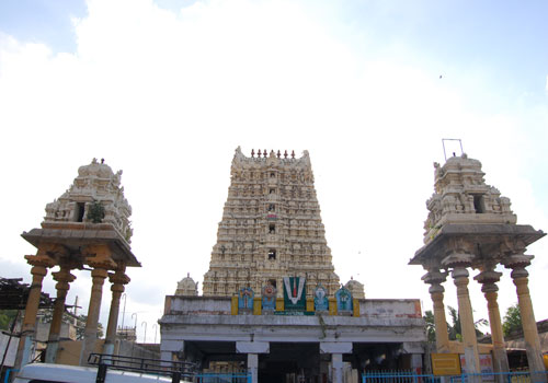 T 500 605.jpg