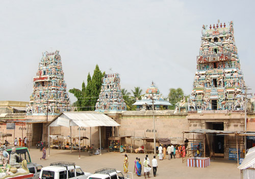 T 500 64.jpg