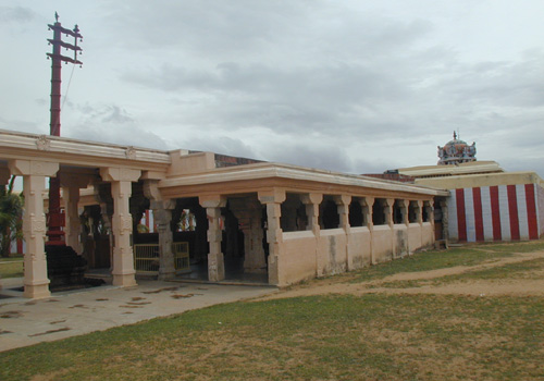 T 500 920.jpg