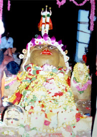 Pic4.jpg