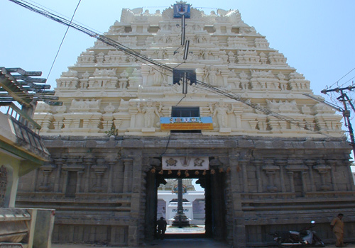 T 500 242.jpg