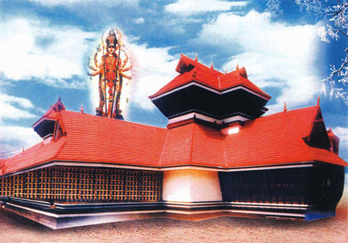 T 500 713.jpg
