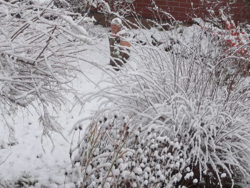Snow1.jpg