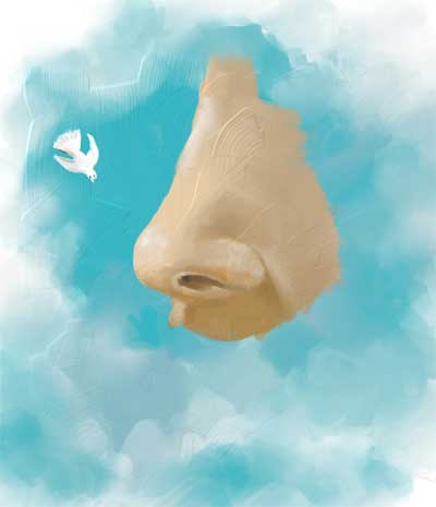 Nose-in-the-sky-tech.jpg