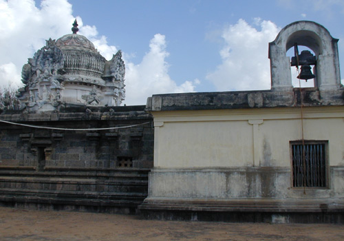 T 500 514.jpg