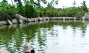 தீர்த்தம்கோளிலி.jpg
