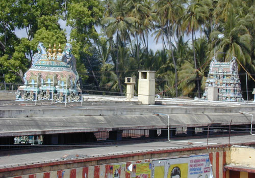 T 500 724.jpg