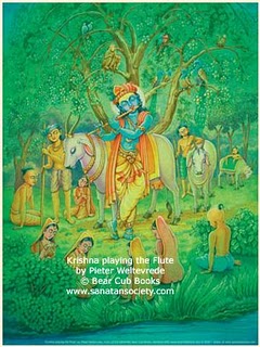 Krishna avatar.jpg