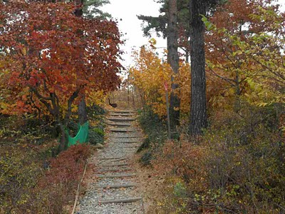 05-path.jpg