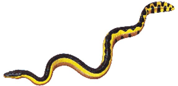 Seasnake.png