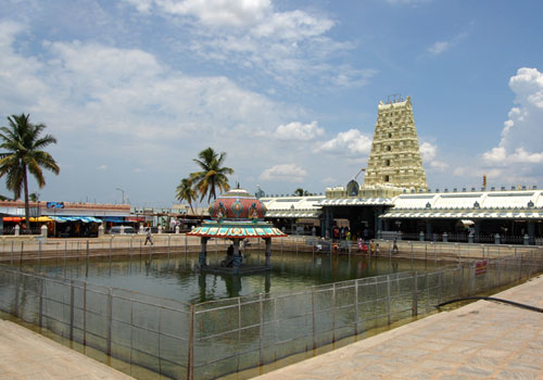 T 500 255.jpg