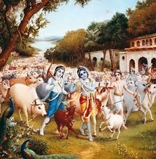 Imageswithcows.jpg