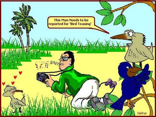 Sekhar's cartoon - 21 மக்பை ராபினுக்கு.JPG