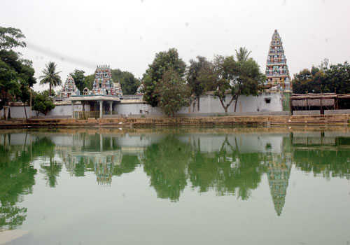 T 500 321.jpg