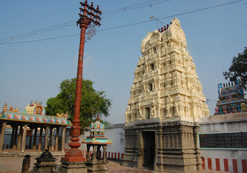 T 500 1152.jpg