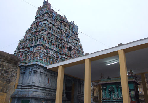 T 500 335.jpg