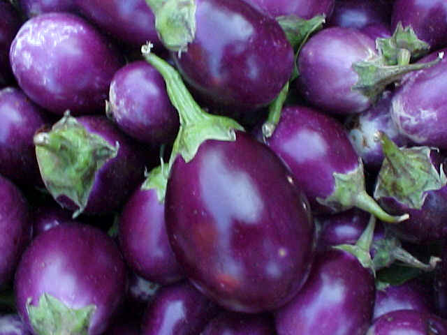 Brinjal 2.jpg