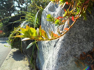 Mudra turn.jpg