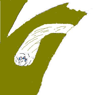 Copper smith's nest.JPG
