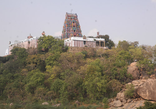 T 500 658.jpg